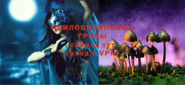 ПСИЛОЦИБИНОВЫЕ ГРИБЫ Балахна