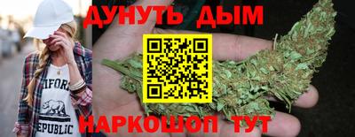 прущие грибы Новозыбков