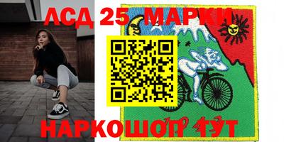 прущие грибы Новозыбков