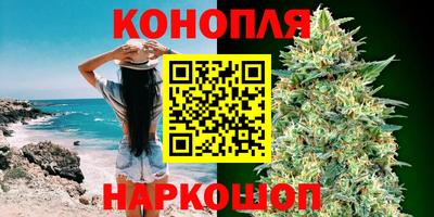 прущие грибы Новозыбков