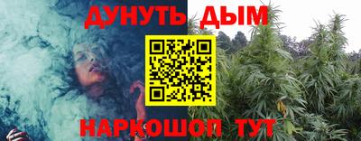 прущие грибы Новозыбков