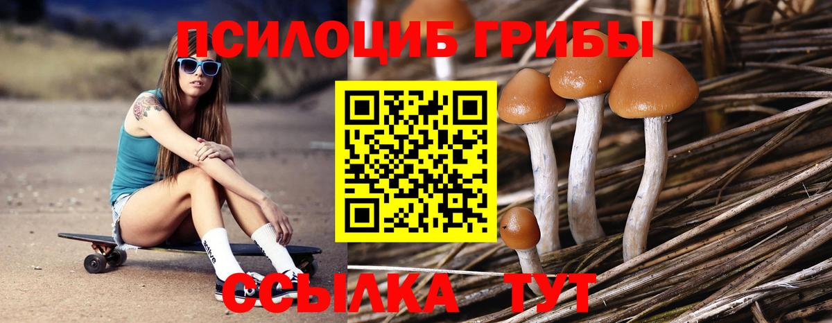 Псилоцибиновые грибы GOLDEN TEACHER  Галлюциногенные грибы прущие грибы  Сердобск  Вход с VPN 