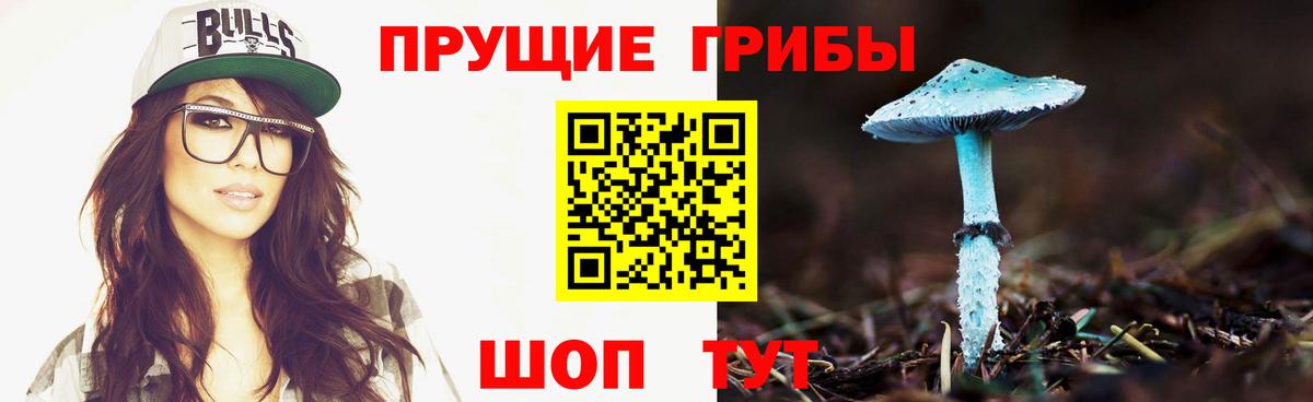Галлюциногенные грибы GOLDEN TEACHER Сердобск